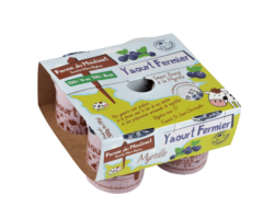 Yaourt à la Myrtille